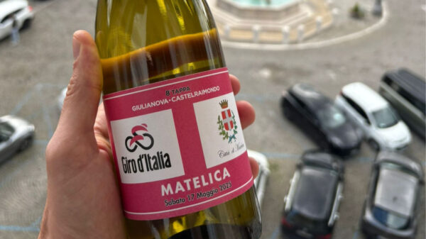 matelica-vino